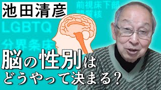 【池田清彦】胎児の発育と遺伝子の発現 その2 ~脳の性別はどうやって決まる？~