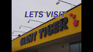 Giant Tiger Canadian Discount Department Store Tour - Grocery Prices Clothes  - Steffie In The City