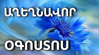 🟡✨ ՀՈՐՈՍԿՈՊ / ԱՂԵՂՆԱՎՈՐ ♐ / ՕԳՈՍՏՈՍ  կանխատեսում  2️⃣0️⃣2️⃣4️⃣ թվական 🌹