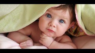 Funny Twins Babies Playing Together   Funny Baby Family   twins babies funny video  bluekidz