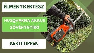 Borostyán a kertben: Hogy tudjuk karbantartani a sövénynyíróval?🌿