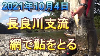 長良川の支流で鮎網漁　2021年10月4日