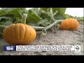 Utah County farm provides fresh produce to local food pantry