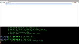 Setup a Webserver with Python Linux Tutorials clip30