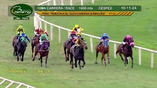 Hipódromo Monterrico  - 10ma Carrera 10 Noviembre 24