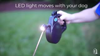 Walk Whiz | Tracking LED Retractable Dog Leash