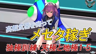 【独極訓練:天極と地極1-5】「メセタ稼ぎ」と「クリアのコツ」を実況解説【PSO2】