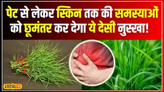 Durva Grass Benefits: गुणों की खान है दूर्वा घास, स्किन से पेट तक की समस्याओं से दिलाए राहत #local18