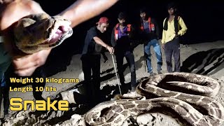 The Largest Snake of India | Indian rock python 🐍| અજગર Animal Rescue