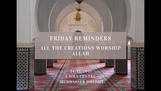 Friday (Jumma) Reminder 24.12.21: All the Creations Worship Allah