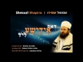 shmuel shapiro dos yiddishe lied single chazanut