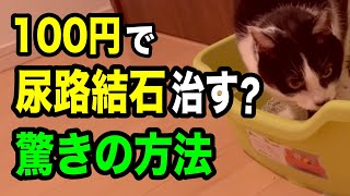 猫のストルバイト尿石症を治すと噂の「あの食材」について獣医師が解説します【切り干し大根の煮汁】