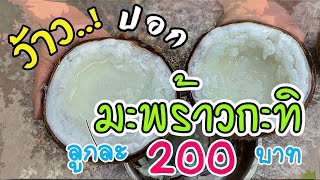 วิธีปอกมะพร้าวกะทิ ซื้อมาลูกละ200บาท