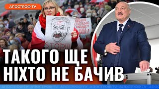 БІЛОРУСІВ ШТОРМИТЬ! Лукашенко знову президент / Білоруська опозиція протестує в країнах ЄС