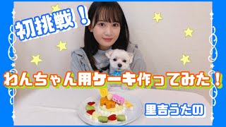 わんちゃん用ケーキ作ってみた！【里吉うたの＆おもち】