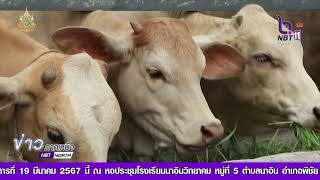 สกู๊ป-โครงการโคแสนล้าน แก้จน ต่อยอดสร้างรายได้เกษตรกร