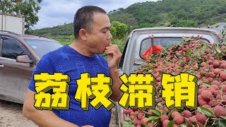 Millions of tons of litchi in Beiliu, Guangxi! No one wants 6 cents a pound!