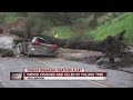 Driver crushed, killed by falling tree