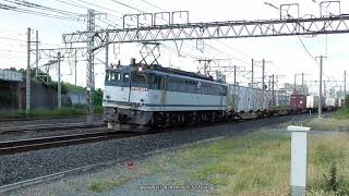 JR貨物　EF65 2057号機が牽引する74ﾚ貨物列車を撮影（R2.9.28)