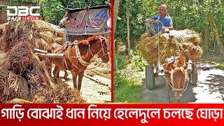 গরুর গাড়ির বদলে ঘোড়ার গাড়ি | DBC News Special