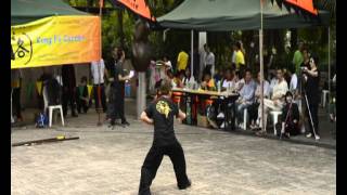 Gao style Bagua Zhang - Samuel Cheng 高式八卦掌先天掌