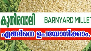 Benefits of barnyard millet |  How to cook barnyard millet | Prabhatham health mission.