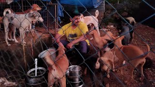 കേരളത്തിലെ തെരുവുകളിൽ നിന്നും അല്പം ഭാഗ്യം ഉള്ളത് കൊണ്ട് മാത്രം രക്ഷപെട്ടവരോടൊപ്പം