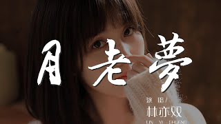 月老夢 - 林亦雙『我撐一把紙傘佇立在花燈江畔』【動態歌詞Lyrics】