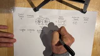 Molecular Geometry F2