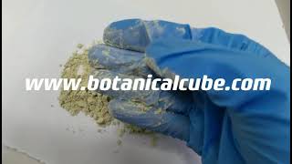 Cnidium Extract Powder by Botanical Cube Inc.