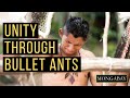 Bullet ants ritual takes on a new meaning as threats to Amazon indigenous lands grow