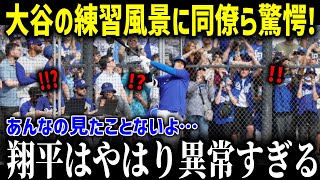 【大谷翔平】ド軍のチームメイトが明かした大谷の練習の向き合い方がヤバすぎる！「あんなの見たことない…」【海外の反応 MLB 大谷翔平 投手復帰 チームメイト レジェンド】