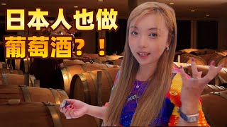 日本葡萄酒大师开课啦，快来围观！