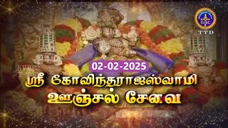 Sri Govindarajaswamy vari || Unjal Seva || Tirupati || SVBC2 Tamil || 02-02-2025 || SVBC TTD