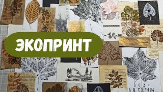 ЭКОПРИНТ Творчество и природные материалы # экопринт #арттерапия #творчество