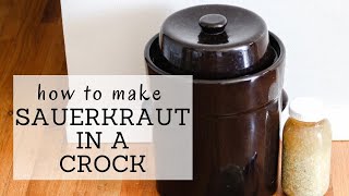 Sauerkraut Crock Recipe | HOW TO MAKE SAUERKRAUT IN A CROCK | Bumblebee Apothecary