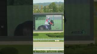 第５６回スプリンターズステークス🐎ジャンダルム極G1初制覇‼️ナムラ浜中沈んで馬券🐴🎫も撃沈😫From金沢競馬場