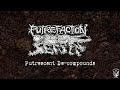 Putrefaction Sets In - Putrescent De-compounds [SINGLE] (2024 - Goregrind)