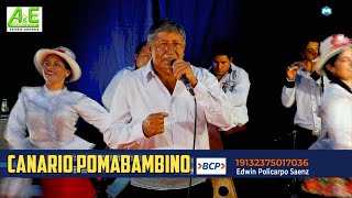 CANARIO POMABAMBINO Y LOS COMPADRES DEL CHIMAYCHI EN CONCIERTO VIRTUAL