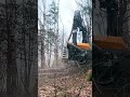 most viral logging video ever equipment machine