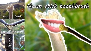 Neem stick toothbrush