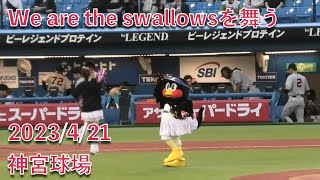 つばみ、We are the swallowsを舞う 2023/4/21