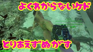 女にも容赦ねぇ追いはぎ【Fallout 4】＠2