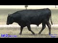 lot 03 bonnie doon wagyu wbdf22t0035