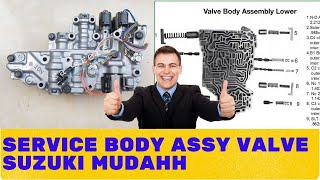 SERVICE BODY ASSY VALVE APV