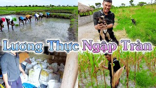 Linh Philip || Nông Trại Đón Thêm \