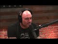 Joe Rogan and Ben Greenfield Discuss GAINSWave Results