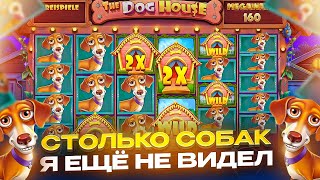 ПИЗ**ЕЦ ДВА МЕГАЗАНОСИЩЕ ПОДРЯД !! ЗАНОС ДВА ЛЯМА, ЗАКРЫЛ СОБАК В DOG HOUSE MEGAWAYS (ЗАНОСЫ НЕДЕЛИ)