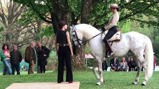 Rahel Schröder - Auftritt Klassische Dressur und Flamenco - www.dressur-und-reitkunst.de - München