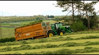 Silaging with TWO Choppers! New Hollands with at least Six Tractors.